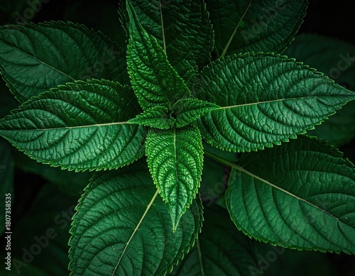 Industrial Factory Structure with Steel Pipes in a Manufacturing Industry Setting Shot from an Aerial Perspective During Daylight