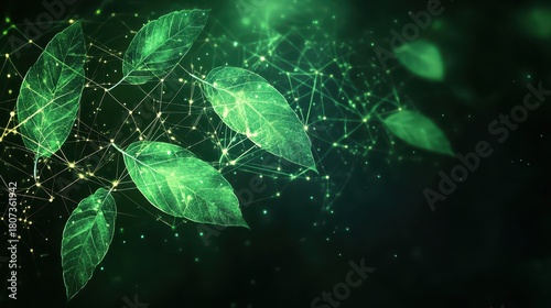 Stylized image of interconnected leaves and digital network