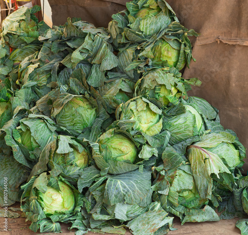 Fresh Green Cabbages at a Kenyan Market Stall

Fresh, green cabbages neatly displayed at a Kenyan market, highlighting healthy produce and vibrant local market culture