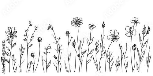 Hand drawn wild field flowers and grass line art collection with delicate botanical doodle sketches in minimalist black and white style vector illustration