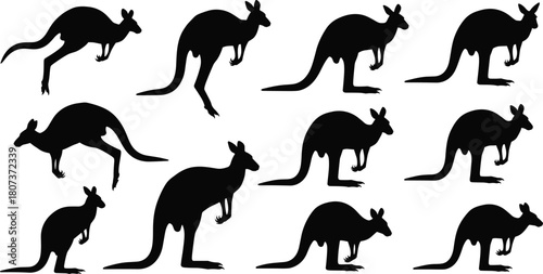 Kangaroo silhouette vector set, wild Australian kangaroo shapes, jumping and standing poses, wildlife illustration collection for nature, animal design, outback themed artwork