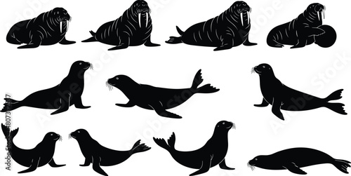 Dynamic bowling player silhouettes in various action poses, detailed vector illustration featuring bowlers, 