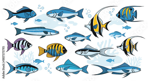 Colorful collection of various sea and ocean fish species isolated on a light blue background.