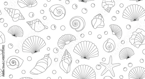 Seamless black and white pattern of various hand-drawn seashells starfish and sea urchins.