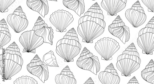 Seamless background pattern featuring a variety of seashells hand-drawn in a clean outline style.