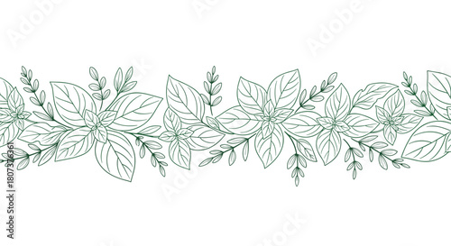 Elegant decorative border made of hand-drawn green sage or mint plant leaves and branches.