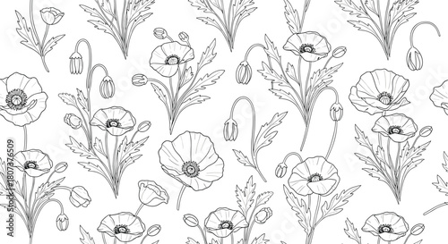 An outline drawing presents a pattern of poppy flowers ready for creative coloring or use in designs.