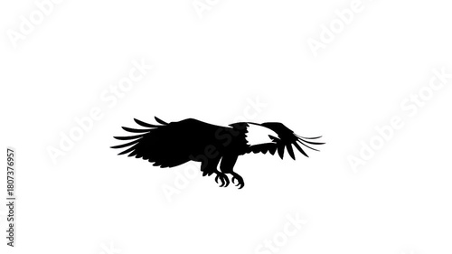 soaring eagle silhouette: The majestic silhouette of an eagle spreads its wings, captured in mid-flight, a symbol of freedom and strength against the vast sky.