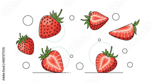  Set of vibrant red summer strawberries shown whole and sliced in half with minimalist line art on a plain white background.