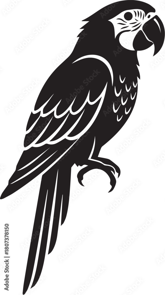 Obraz premium Illustration of black silhouette of a macaw