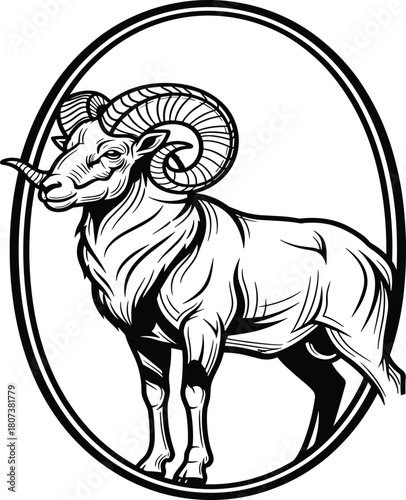 Detailed black and white vector illustration of a strong horned ram standing inside an oval frame for mascot logo design.