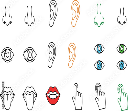 Set of Five Senses Vector Icons, Human Body Parts and Sensory Perception Illustration.