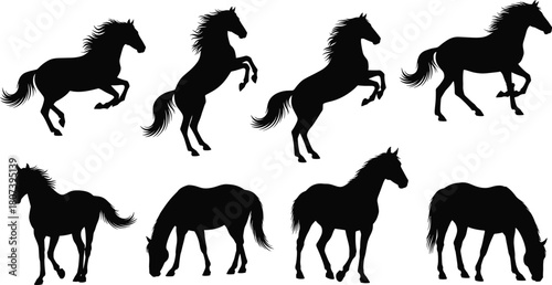 Horse silhouettes, standing and galloping poses, black vector, animal design, minimal style, graphic set, equine movement, nature icon