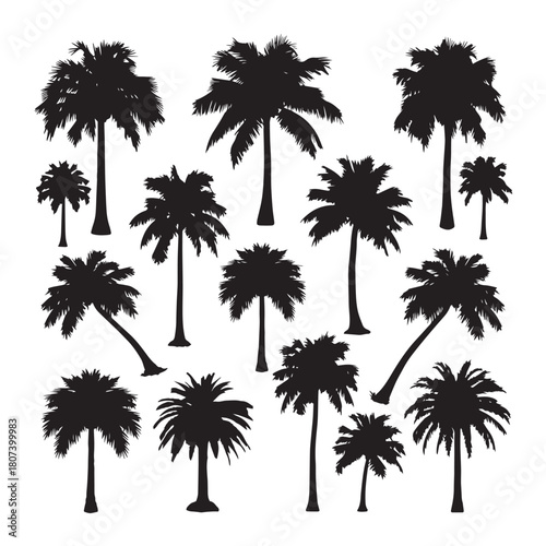 Palm tree silhouettes