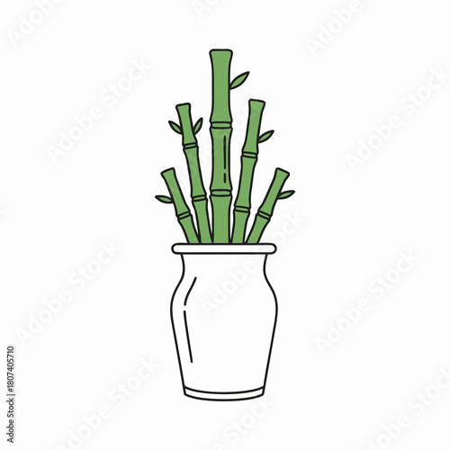 Flat Line Art Lucky Bamboo Plant in a Vase Illustration
