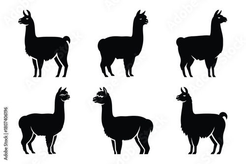 alpaca of the modern vector silhouettes animals icon collection