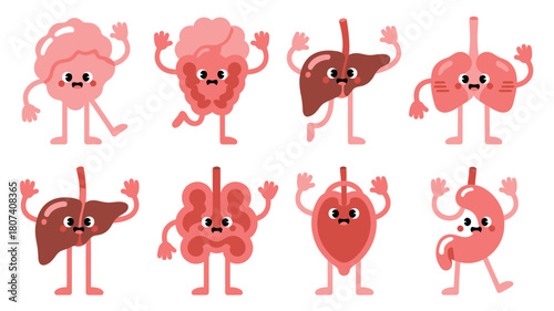 Cute cartoon human organs with faces and arms raised in a fun way