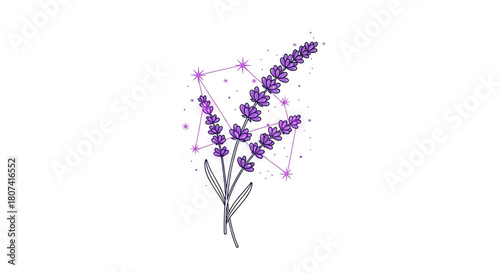 Stylized illustration of a purple lavender flower stalk overlaid with a glowing celestial constellation graphic on a white background