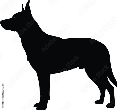 Dog Silhouette – Guard Dog or German Shepherd Vector.