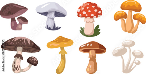 Mushroom illustrations, colorful fungi, forest vector, botanical design, nature elements, fantasy style, wild species, edible shapes, artwork