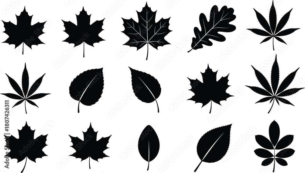Obraz premium Leaf silhouettes, botanical icons, black vector, nature design, foliage shapes, minimal style, graphic set, plant elements, tree leaves