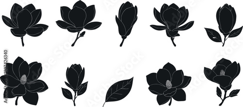 Magnolia flower silhouettes, blooming stages, black vector, petal shapes, leaf design, botanical icons, minimal style, nature art, graphic set