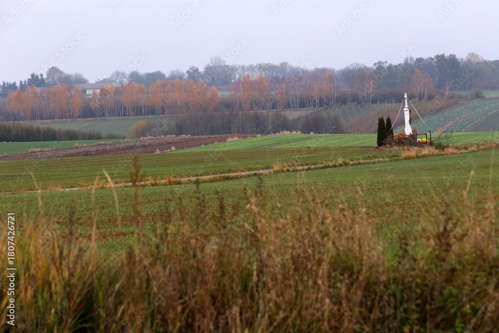 Fototapeta premium Rural Landscape with Distant Shrine and Autumn Foliage
