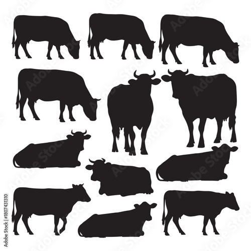 Cow silhouettes vector