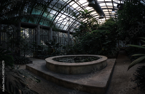 garden in the city