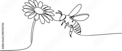 Single line art illustration of a honey bee flying to a blooming flower, minimal black and white vector drawing of pollination and nature
