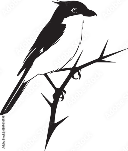 Artistic black and white sketch of a bird perched on a thorny branch