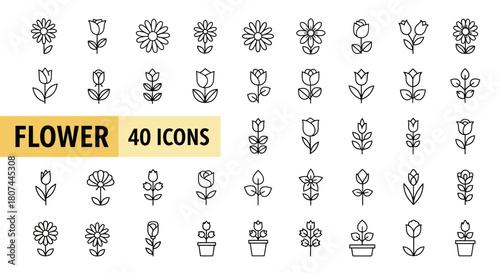 Collection of 40 minimalist flower icons in line style for various design projects