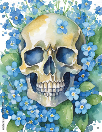 White skull in a wreath of blue forget-me-not flowers, watercolor work.