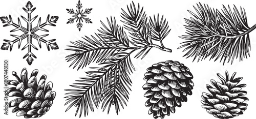 Elegant black and white Christmas design with pinecones and snowflakes