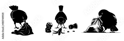 Bird pecking at trash, black silhouette, minimalist design
 