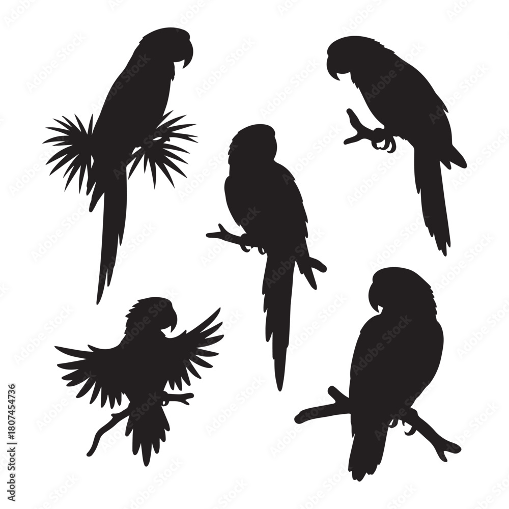 Obraz premium Parrot silhouettes vector