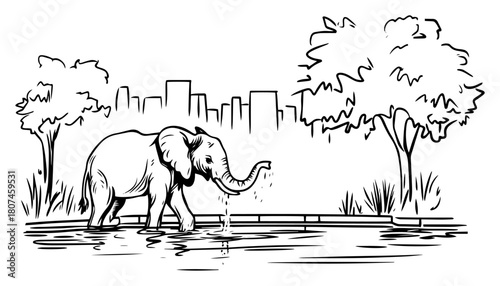 Urban Oasis – Elephant Drinking at Riverside with City Skyline in Background