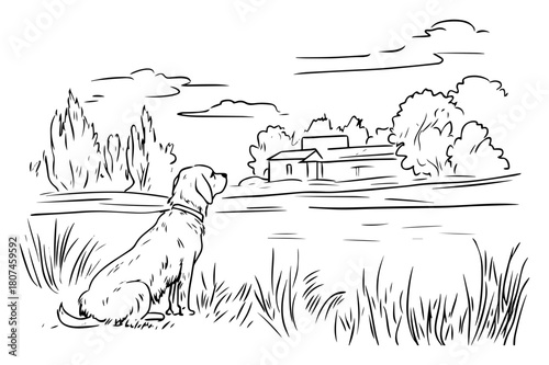 Faithful Dog Watching Rural Farmhouse Across Meadow – Heartwarming Country Scene