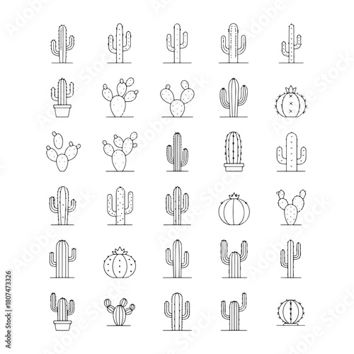 Collection of various cactus species in outline style arranged in a grid pattern on white background