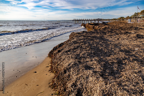 Fototapeta Naklejka Na Ścianę i Meble -  A ridge of dark seaweed deposited by storm waves forms dramatic patterns on the sandy beach, with gentle surf and resort sundecks in the background under clear Mediterranean sky. Side, Antalya, Turkey