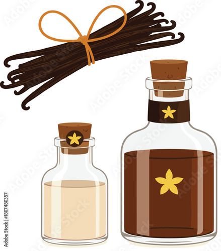 Vanilla Pods and Extract Bottles Vector Illustration, Baking Ingredient and Flavoring.