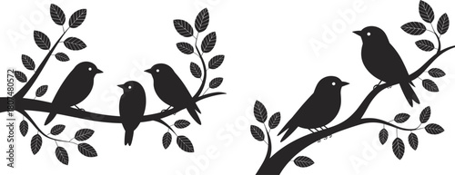 Bird silhouettes, tree branches, perched birds, nature illustration, black and white, leaf detail, peaceful scene, wildlife art, minimal, contrast