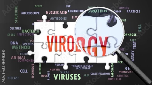 Virology under magnifying glass, being researched, studied and examined. Most important subjects and ideas closely related to virology presented as a word cloud. Complexity of virology. Can be looped.