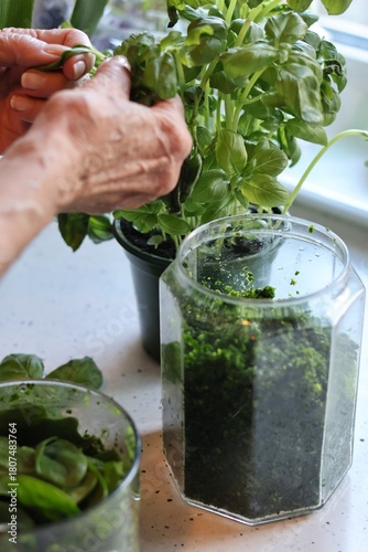 The process of preparing pasta with pesto from spinach, basil, green peas and green parsley: mixing the leaves