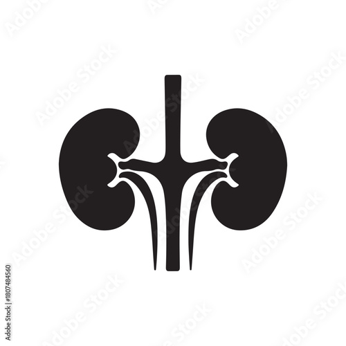 Human Kidney Anatomy Silhouette Icon – Medical Organ Vector for Healthcare, Anatomy Education, and Infographic Designs