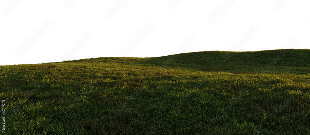 Fototapeta premium Hills with grass on a transparent background. 3D rendering. 