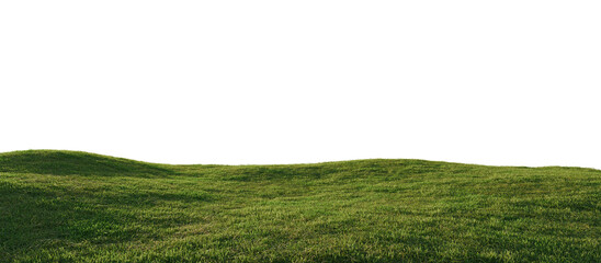 Hills with grass on a transparent background. 3D rendering.	
