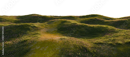 Winding stone path through grassy hills. 3D rendering.