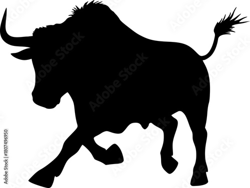 Design of bull running draw