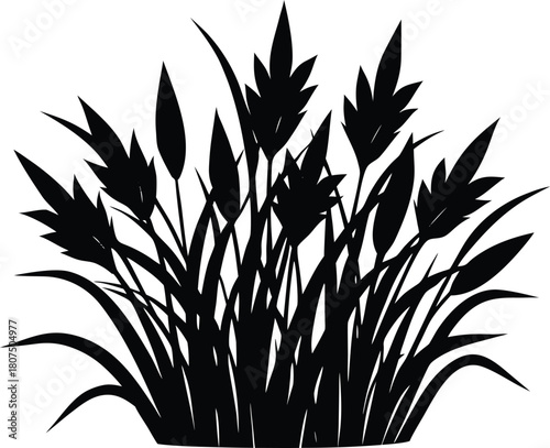 broad leaf grass cluster silhouette.eps